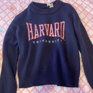H&M Navy Blue Harvard Sweater